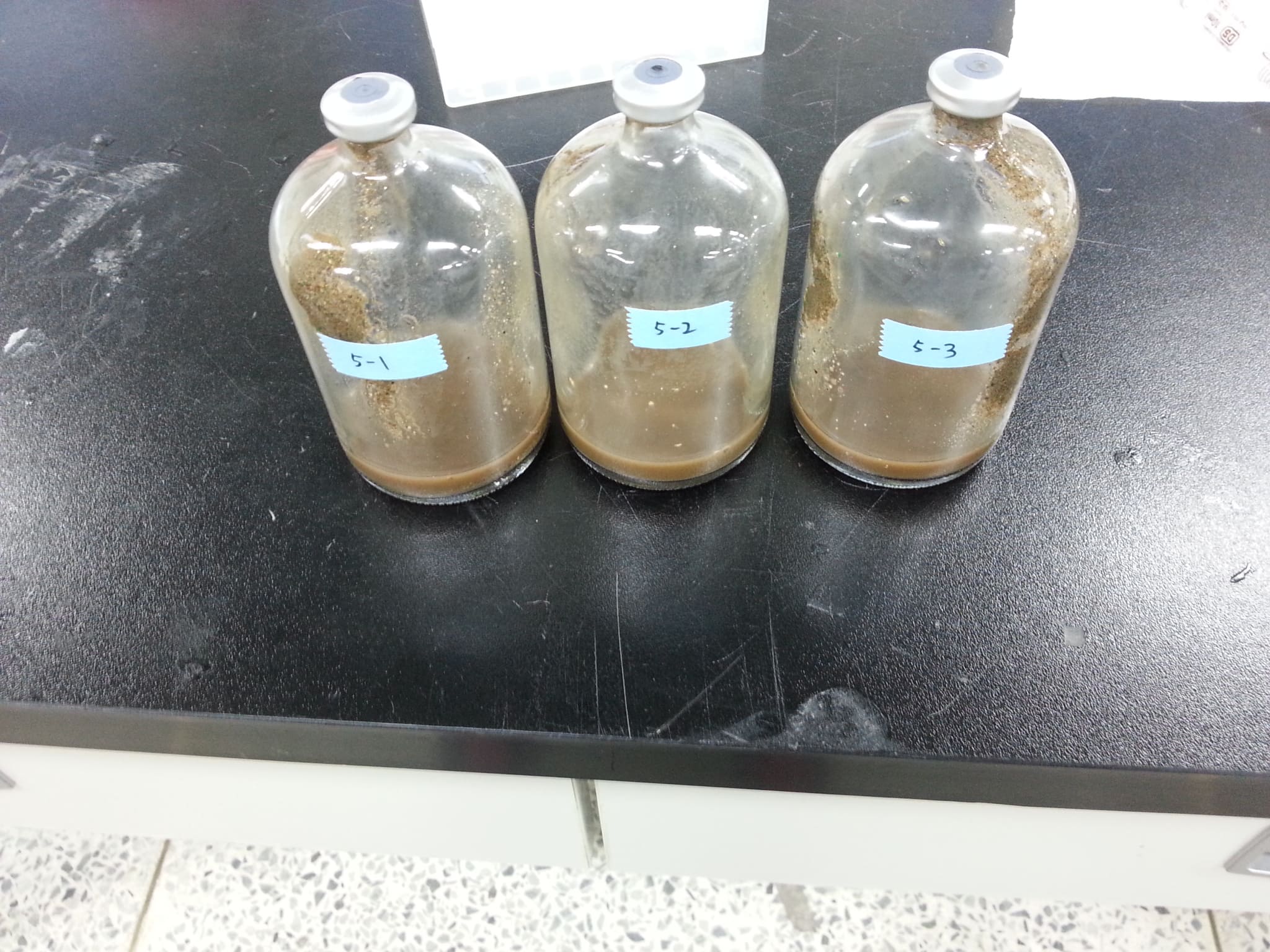 (b) Reagent preparation